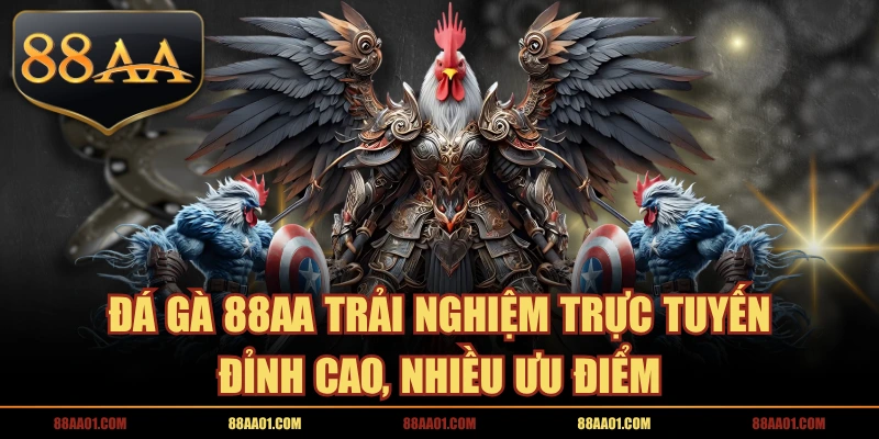 Đá Gà 88AA Trải Nghiệm Trực Tuyến Đỉnh Cao, Nhiều Ưu Điểm