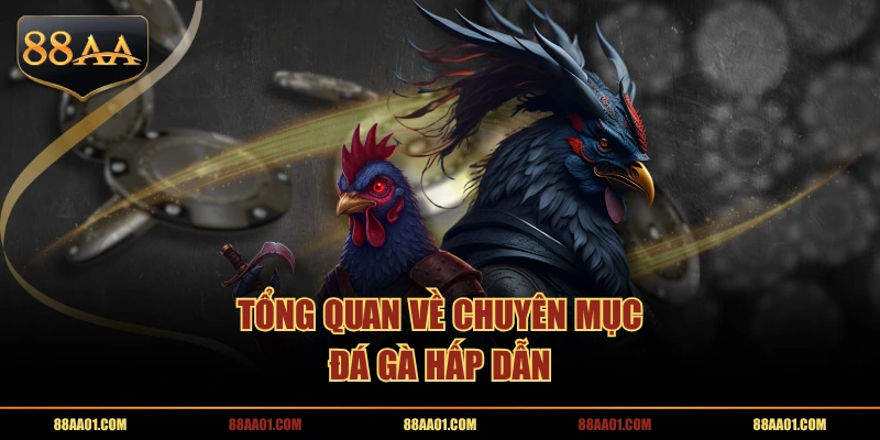 Tổng quan về chuyên mục Đá Gà hấp dẫn